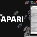 Megapari App