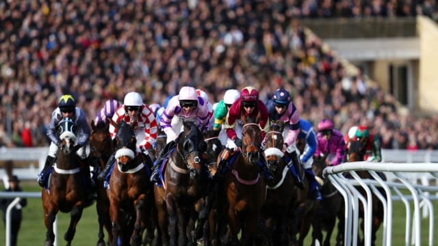 Cheltenham Pariuri